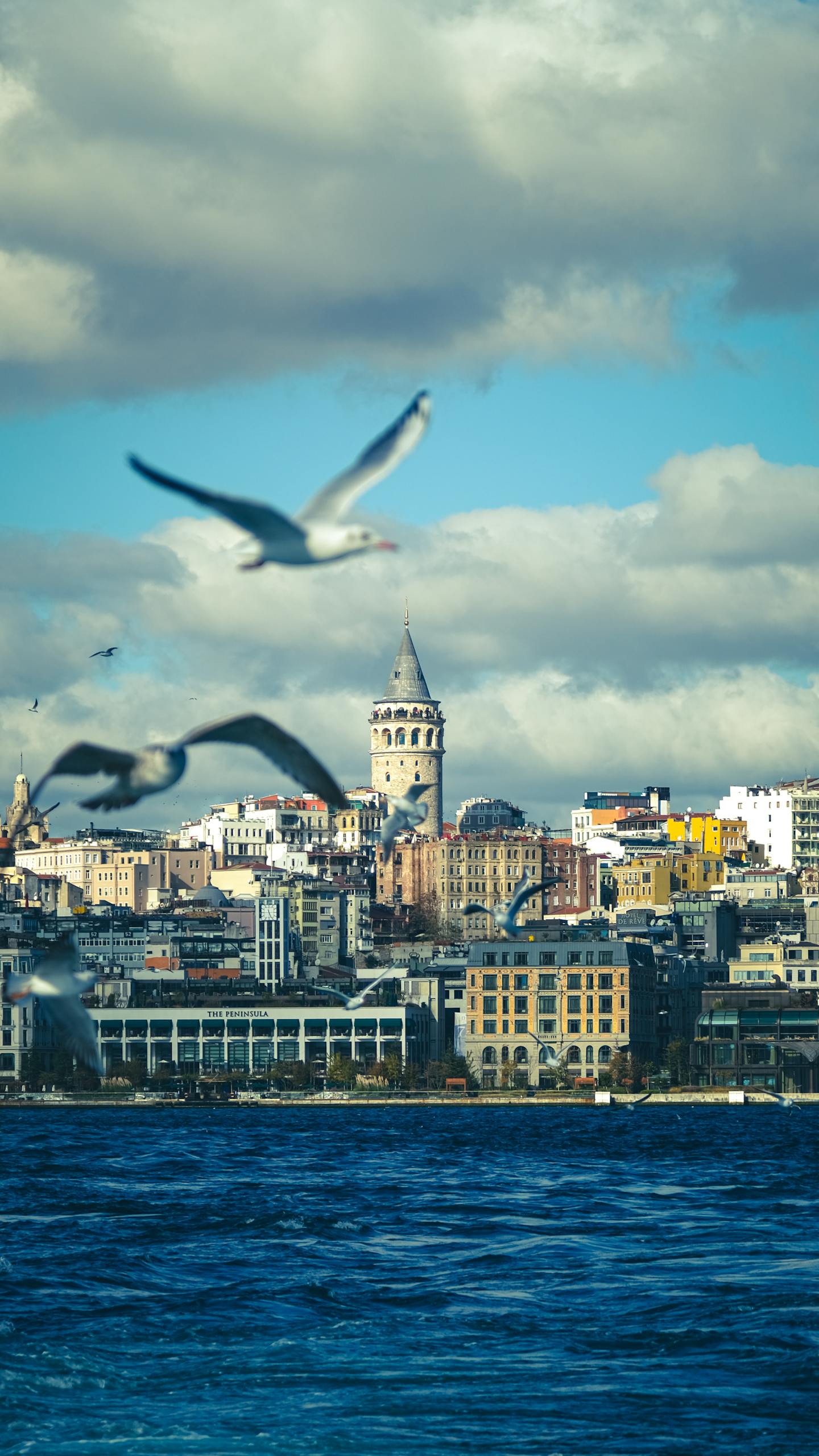 Seagulls soar over the Bosphorus with a view of historic Galata Tower, Istanbul.